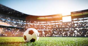 bsports官网 室内绿色健身房